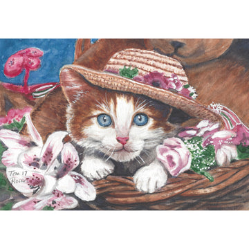 kitty