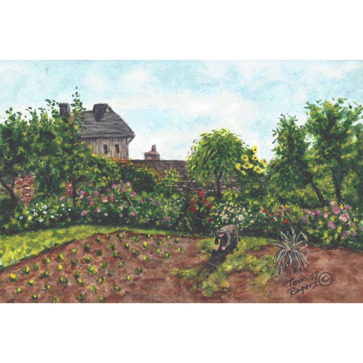 lady working in garden
