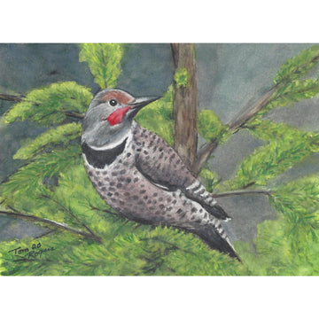 northernflicker