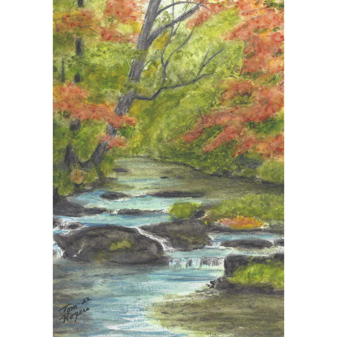 river through woods