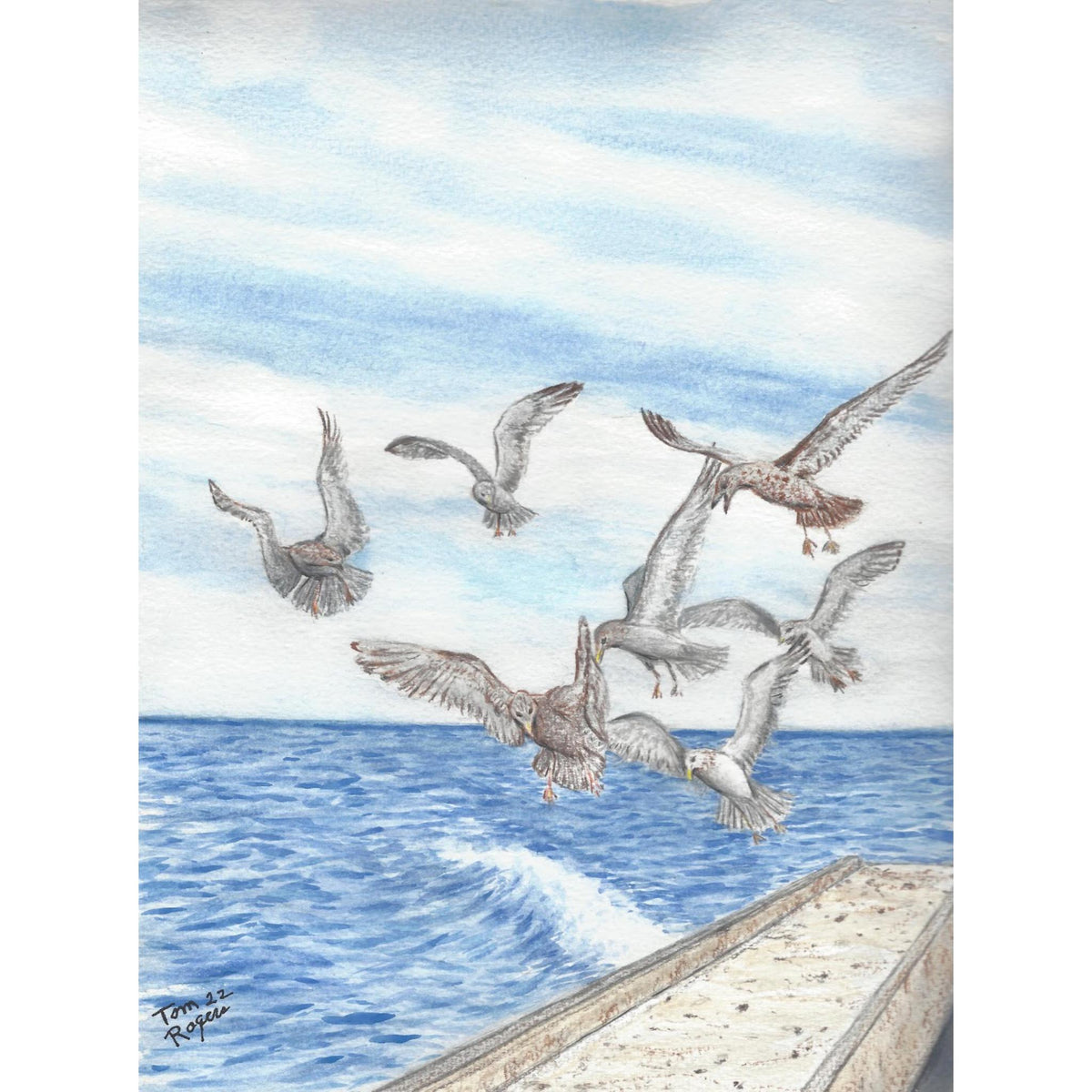 Seagull