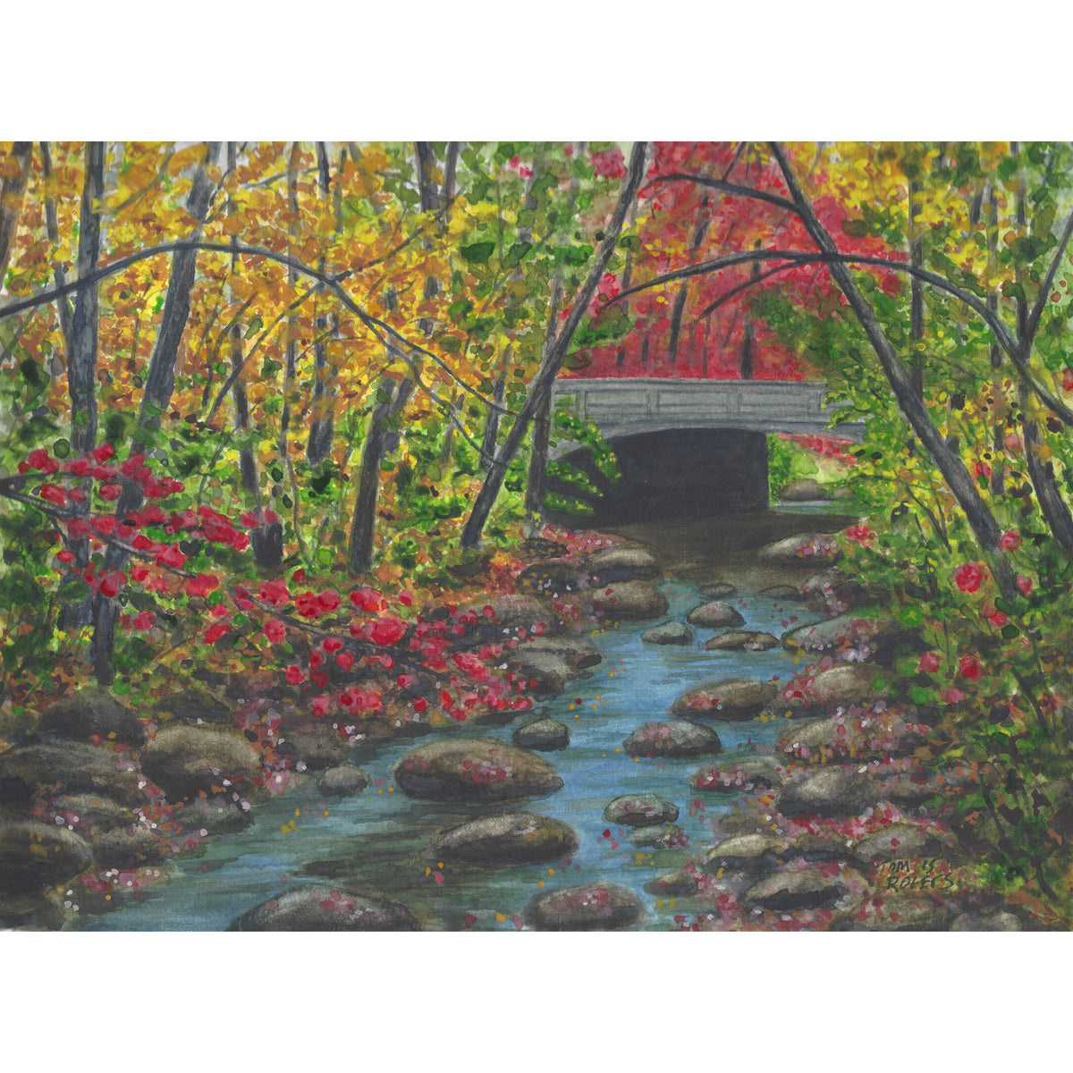 small bridge over creek in woods